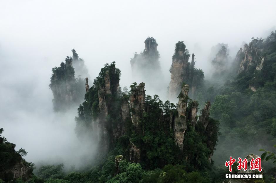 張家界武陵源雨后壯美云海景觀