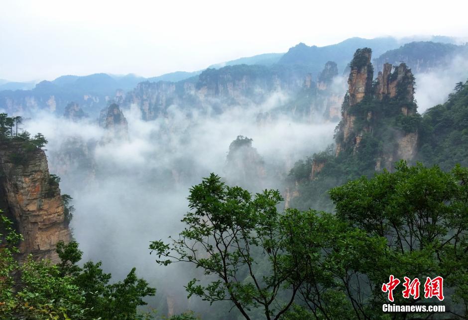 張家界武陵源雨后壯美云海景觀