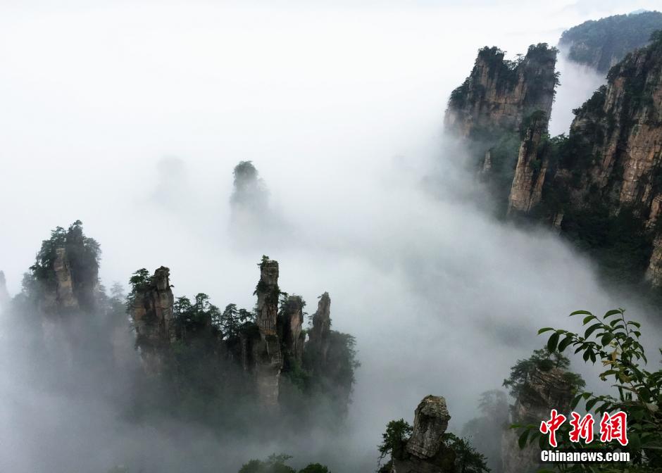 張家界武陵源雨后壯美云海景觀