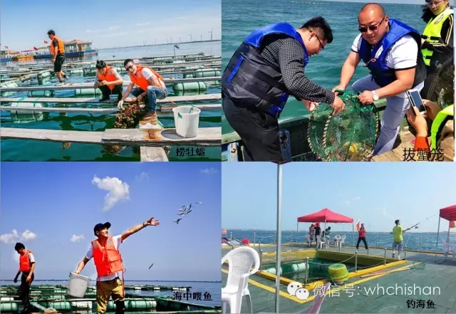 國慶去哪玩 石島赤山八大看點等你來