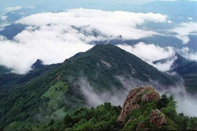 霧靈之山：云中漫步在京東最大一片凈土