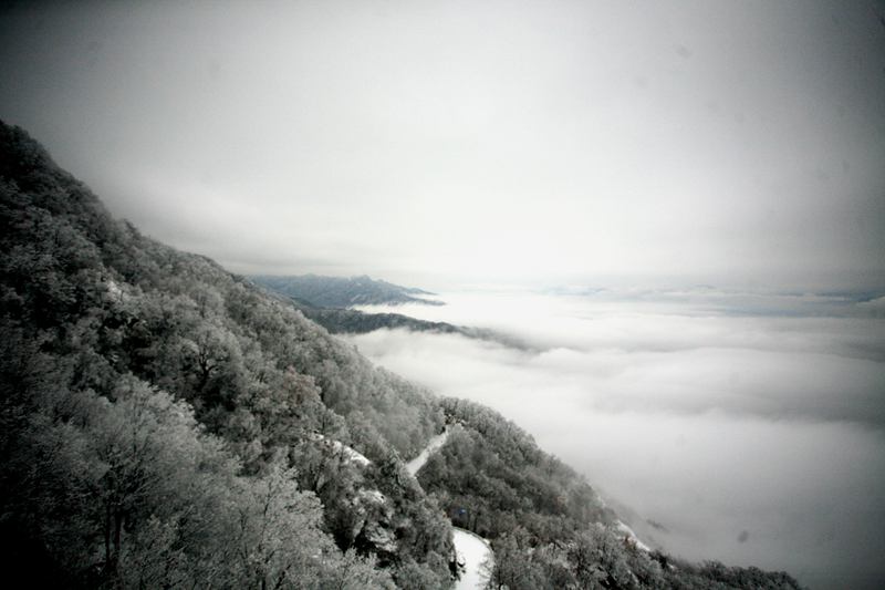 河南大雪：兩千米老君山頂瓊枝玉葉美不勝收