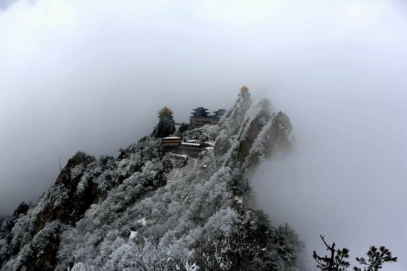 桃花雪與云海不期而遇云霄廟宇映襯成罕見人間仙境