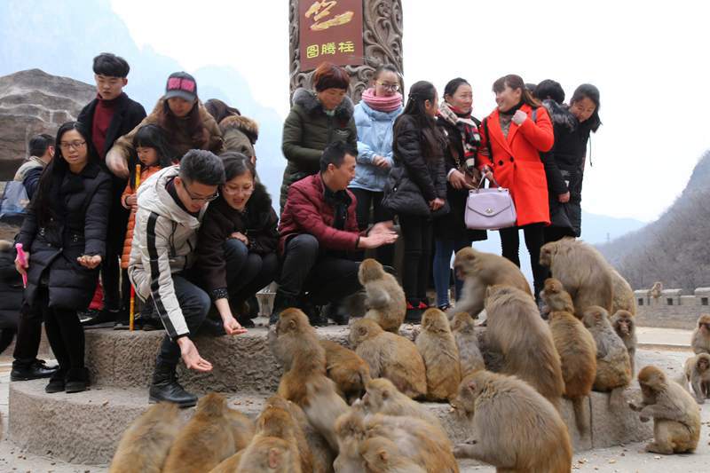 《大鬧天竺》帶熱拍攝地獼猴 王寶強實景地圖騰柱揭神秘面紗