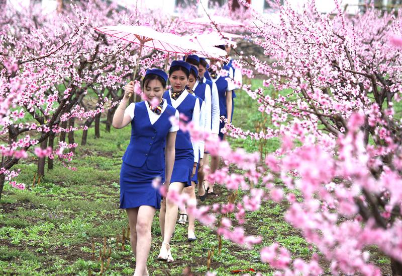 準空姐雨中桃花林里走貓步 上演制服誘惑秀美腿