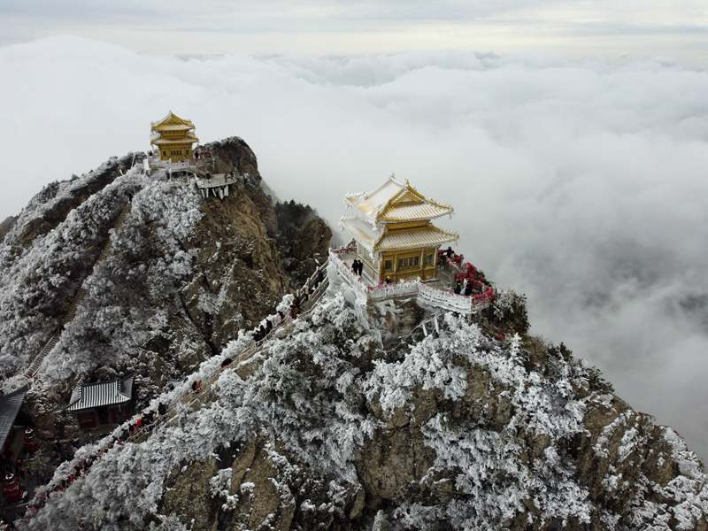 清明假期：老君山現四月飛雪一山兩重天包攬“仙境花海”